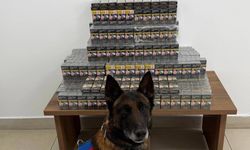 Niğde’de Yolcu Otobüsünde 800 Paket Kaçak Sigara Ele Geçirildi