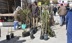 Baharla Birlikte Fidan Dikimi ve Satışları Başladı