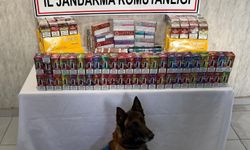 Niğde’de Kaçak Tütün ve Elektronik Sigara Operasyonu