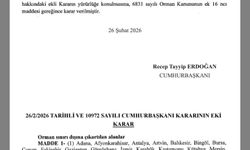 “Savaşsız Yıkım: 21 İlde Ormanları Sınır Dışına Çıkaran Karar Geleceğimize Darbedir”