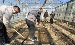 Patates Enstitüsü Yeni Sezona Hazırlanıyor