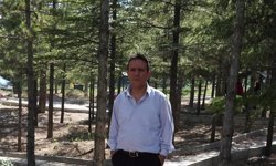 Niğde’de 8. Kattan Düşen Şahıs Hayatını Kaybetti