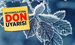 Zirai Don Uyarısı: Üreticilere Kritik Tedbir Çağrısı