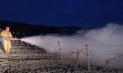 Niğde’de Zirai Don Riskine Karşı Tüm Ekipler Sahada