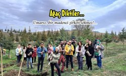 Niğde’de Çam Fidanlarını Toprakla Buluşturdular