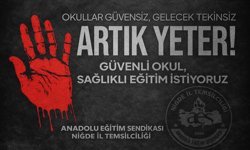 Anadolu Eğitim Sen Niğde: “Okullarda Şiddet Kontrolden Çıkıyor!”