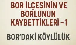 Bor İlçesinin ve Borlunun Kaybettikleri – 1