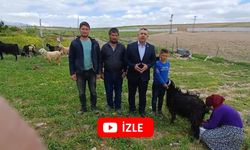 150 Metre Uzakta Elektrik Var, Bu Aile Karanlıkta Yaşıyor