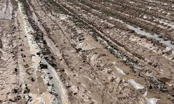 Niğde’de Sel ve Dolu Afeti: 11 Bin Dekarlık Tarım Alanı Zarar Gördü