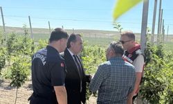 Bor’da yeni tarımsal yatırıma ziyaret