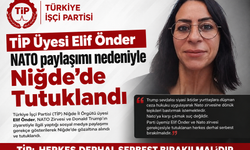 TİP Niğde Örgütü Üyesi Elif Önder Nato Paylaşımı Nedeniyle Tutuklandı
