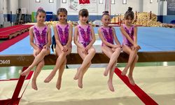 Niğdeli Cimnastikçiler Türkiye Yarı Finallerine Yükseldi