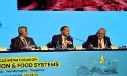 Başkan Özdemir, UCLG-MEWA Yenilikçilik Forumu'nda Niğde’yi Temsil Etti