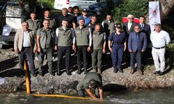Ecemiş Çayı'na 15 Bin Kırmızı Benekli Alabalık Yavrusu Bırakıldı