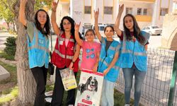 Ülkü Ocakları’ndan Sokak Hayvanlarına Mama Desteği
