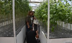 Tokat’tan, Patates Araştırma Enstitüsü’ne Teknik Ziyaret