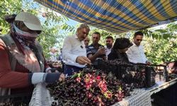 Gümüşler Tumlu Yaylası’nda Kiraz Hasadı ve Yol Sevinci