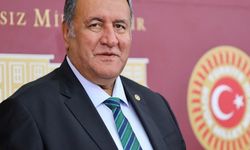 Gürer: “İlk 8 ayda 37 üründe tek tırnaklı eti tespit edildi”
