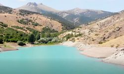 Su Tarlaya Ulaştı, Emirler’de Kiraz Verimi Arttı