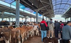 Hayvan Pazarı’nda Günün İlk Saatlerinde Denetim