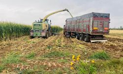 Niğde’de Silajlık Mısır Hasadı Tamamlandı