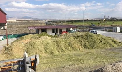 Bor’da üretilen yerli mısırdan elde edilen mısır silajı Ürdün’e ihraç ediliyor
