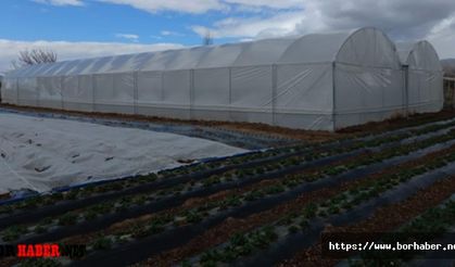 Altunhisar ilçesinde seracılık gelişiyor