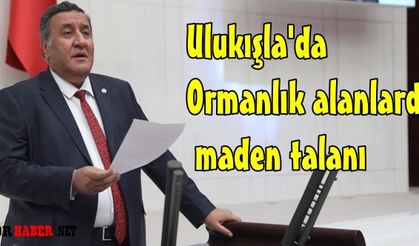 Ulukışla’da 50 yılda ağaçlandırılan   bölgeler maden sahasına dönüştürülüyor