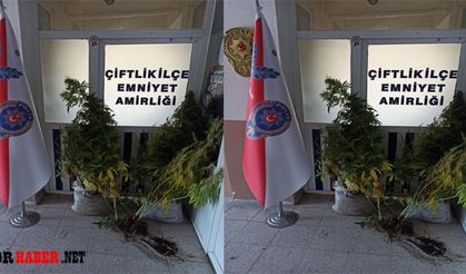 Çiftlik İlçe Emniyet Amirliği'nden Operasyon