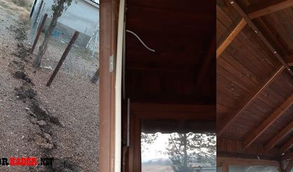 Hayvan pazarındaki kamelyaların kabloları çalındı