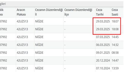 Niğde'de her saniyede bir ceza