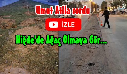 Niğde’de Ağaç Olamaya Gör.