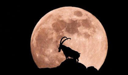 Ulusal Ödüllü Niğde Fotoğrafları
