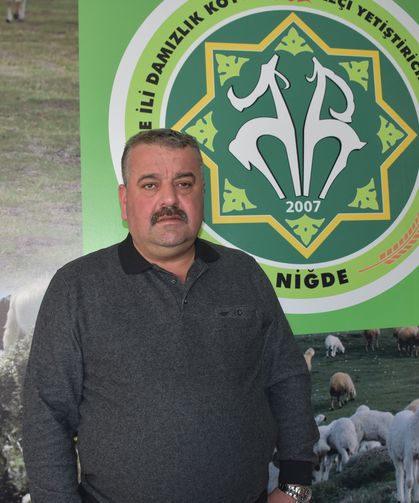 Niğde'de Küçükbaş Hayvan Yetiştiricilerine Destek Ödemesi