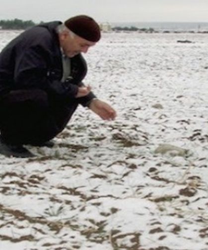 Niğde’de Kar Yağışı Çiftçinin Yüzünü Güldürdü