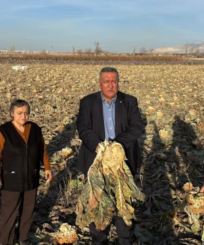 Gürer: “Emek Tarlada Kaldı”