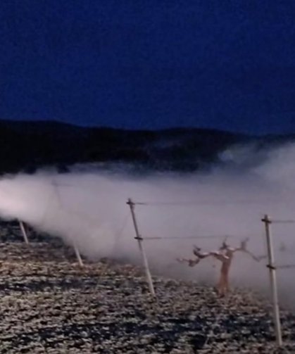 Niğde’de Zirai Don Riskine Karşı Tüm Ekipler Sahada