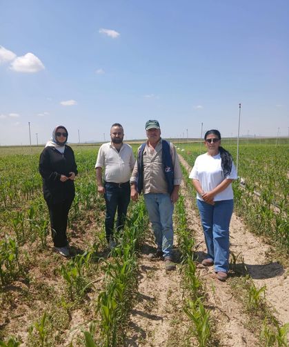 Orhanlı ve Edikli’de Dolu ve  Selin Tarımsal Etkileri Yerinde İncelendi