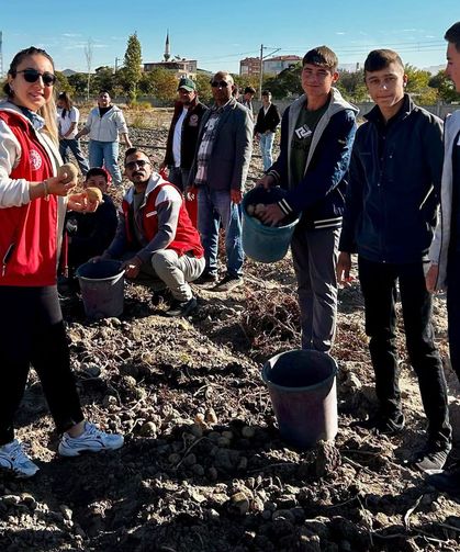Gençler Gönüllü Hasat Etkinliklerinde Buluştu
