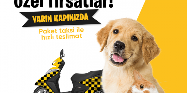 Toptan Kedi Mama Satışı