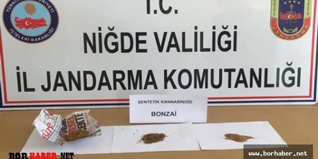 Jandarma Bonzai Ele Geçirdi