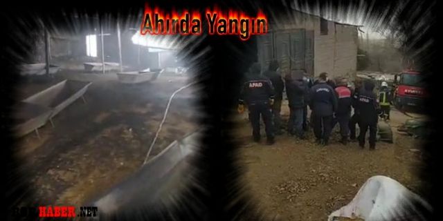 Niğde'de bir ahırda yangın çıktı 171 kuzu telef oldu