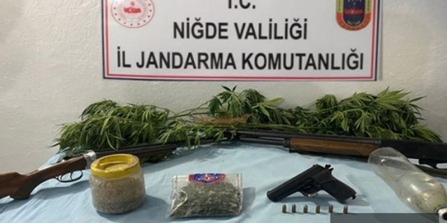 Çamardı ilçesinde kenevir ele geçirildi