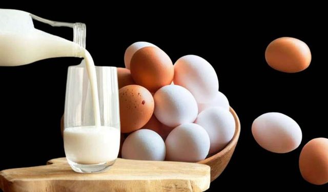 TÜİK: Yumurta ve tavuk eti üretimi arttı, içme sütü üretimi azaldı