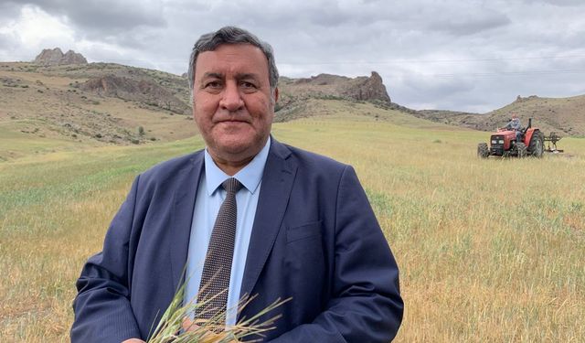 Gürer, “Nüfus artıyor, buğday üretimi 20 yıldır yerinden sayıyor”