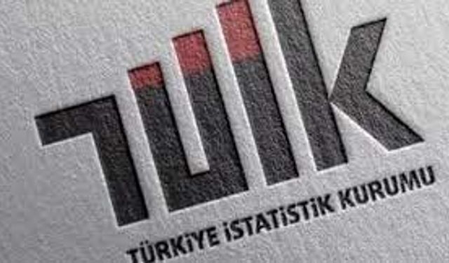 TÜİK, 2022 yılı Uluslararası Göç İstatistikleri’ni açıkladı