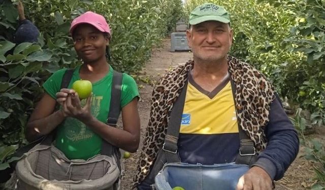 Nijerya’dan geldi, Niğde’de elma işçisi oldu