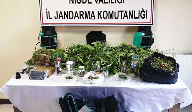 Niğde’de Jandarma’dan Uyuşturucu Üretenlere Operasyon