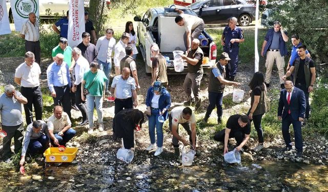 Ecemiş çayına 14 bin kırmızı benekli Alabalık salındı