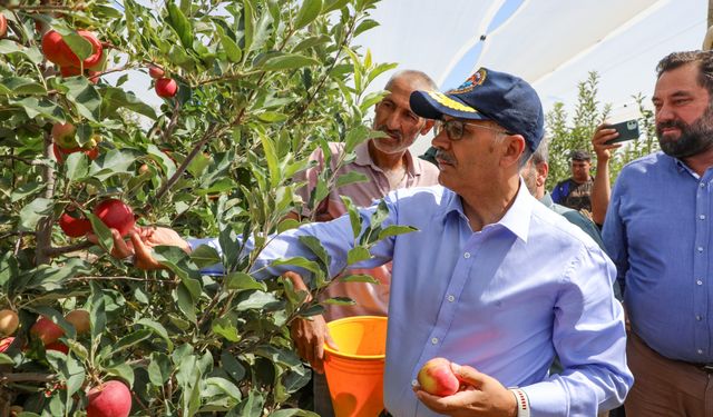 Niğde Valisi Cahit Çelik ve Bor Kaymakamı Mehmet Yavuz’dan Akpolat Tarım’a Ziyaret